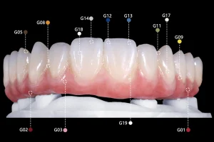 Ceramix ceramic stain shade application guide with G-codes mapped on dental arch