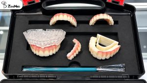 Finished dental restorations shaded with the ZONMED Ceramix stain system at DenTech China 2026